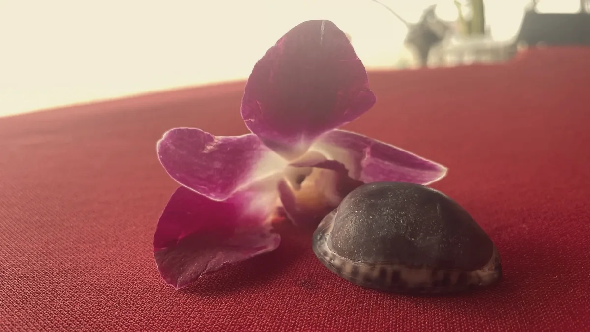 Orchideenblüte und Muschel auf rotem Tuch