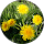 Profilbild von Meike Spohr